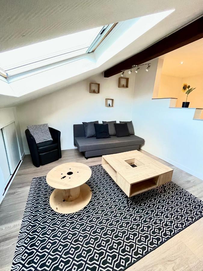 סארבורג Pin'S - Magnifique Appartement מראה חיצוני תמונה